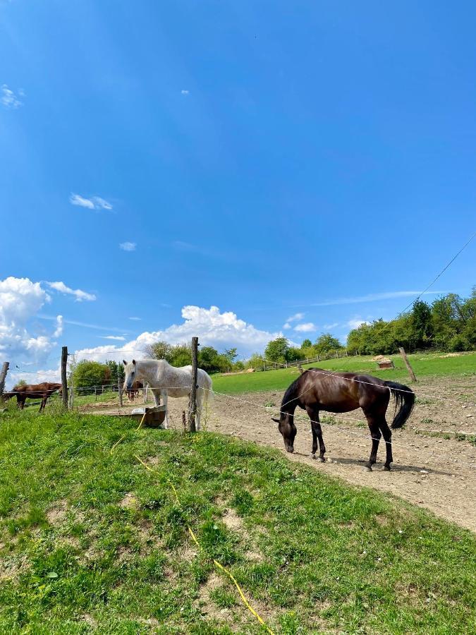 Liptovske Chaty Liptovský Mikuláš Dış mekan fotoğraf